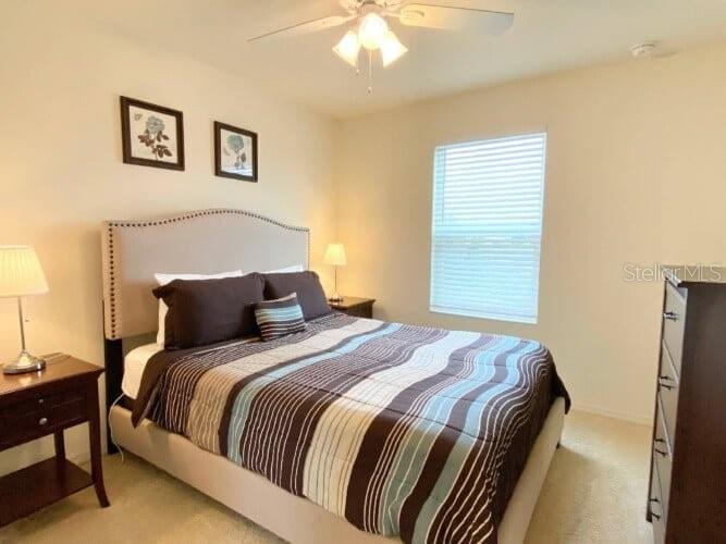3175 Tocoa Cir Property Photo 22