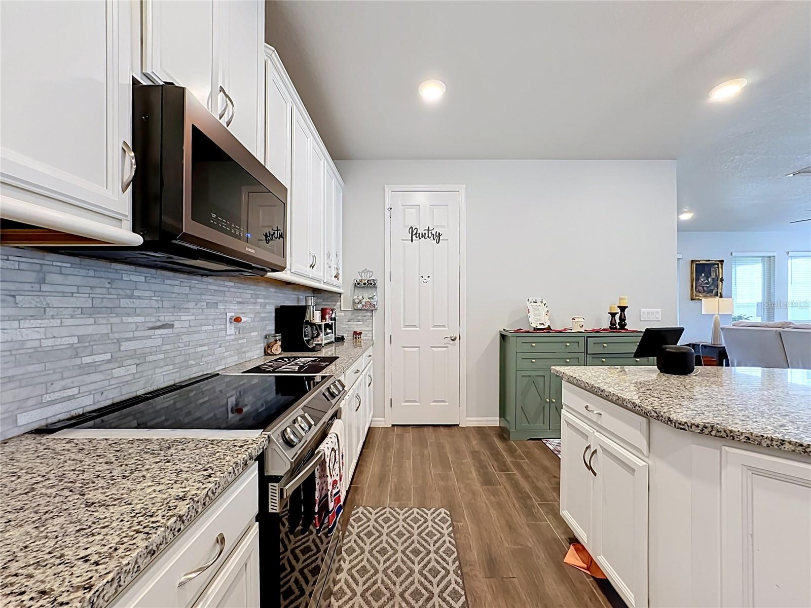 13222 Moss Grass Way Property Photo 7