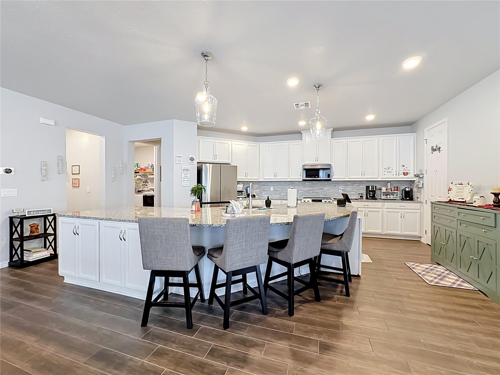 13222 Moss Grass Way Property Photo 11