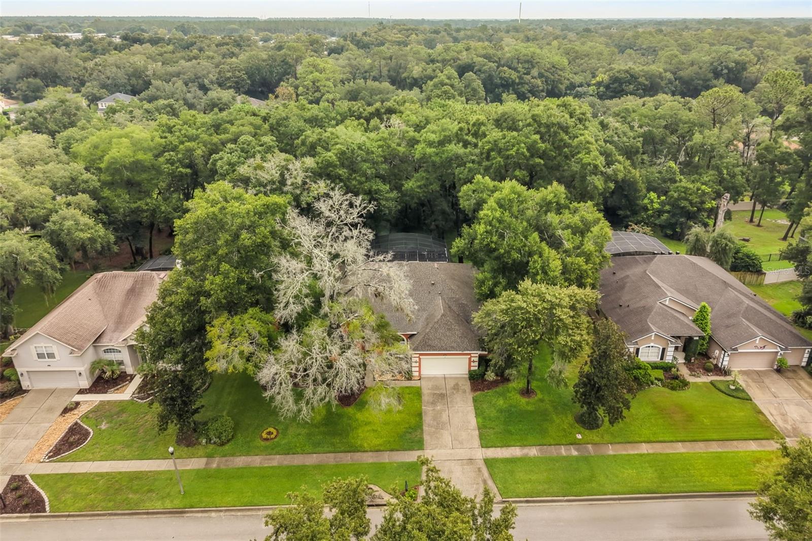 595 Sand Wedge Loop Property Photo 53