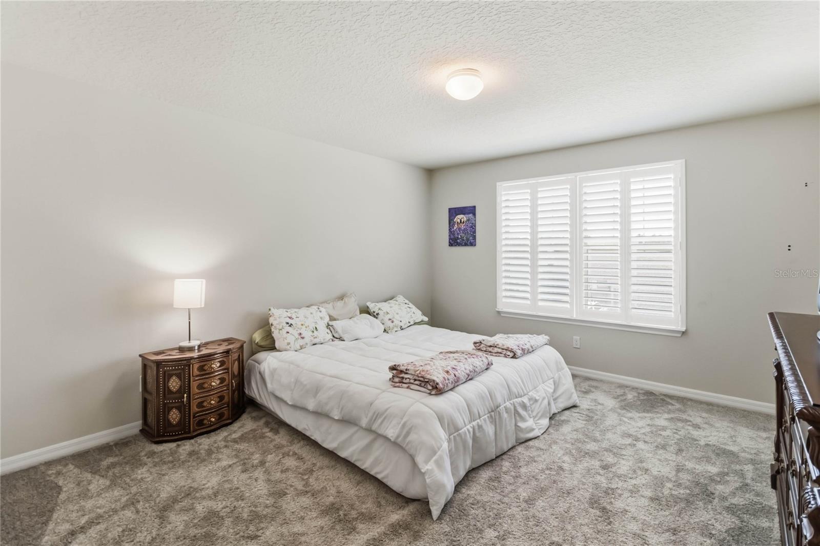 2764 Matera Dr Property Photo 33