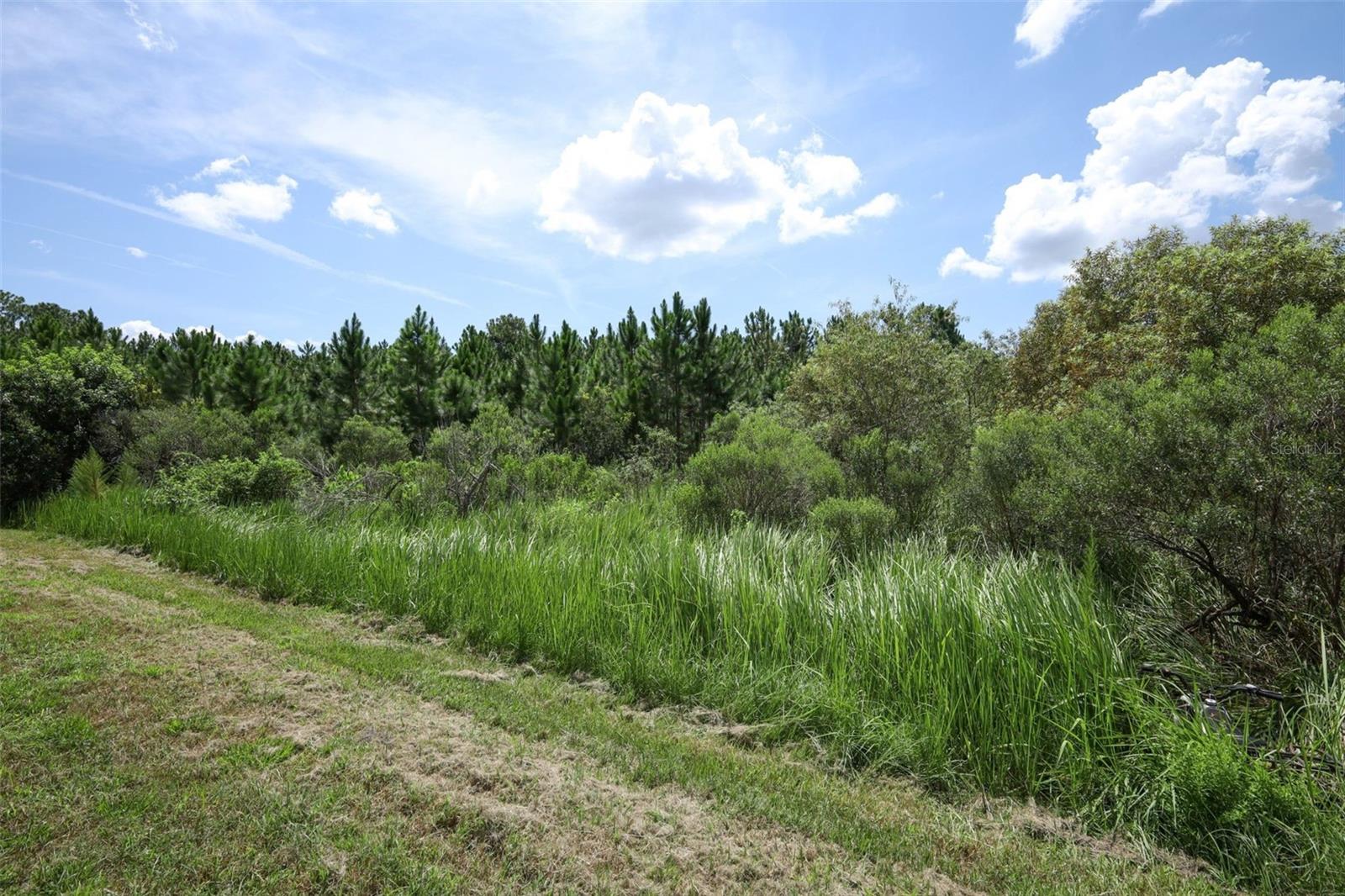 12397 Stone Bark Trl Property Photo 57