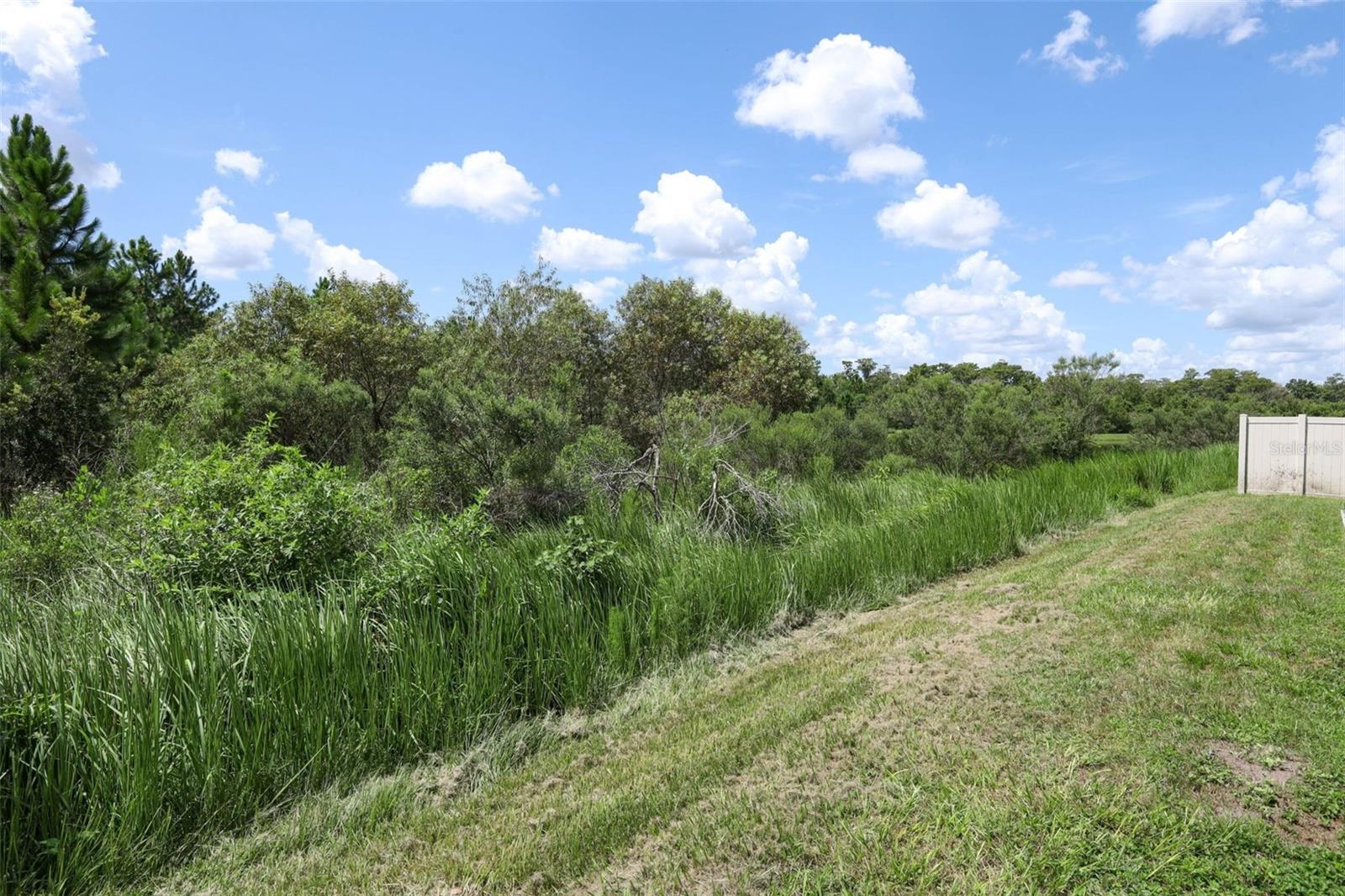12397 Stone Bark Trl Property Photo 58