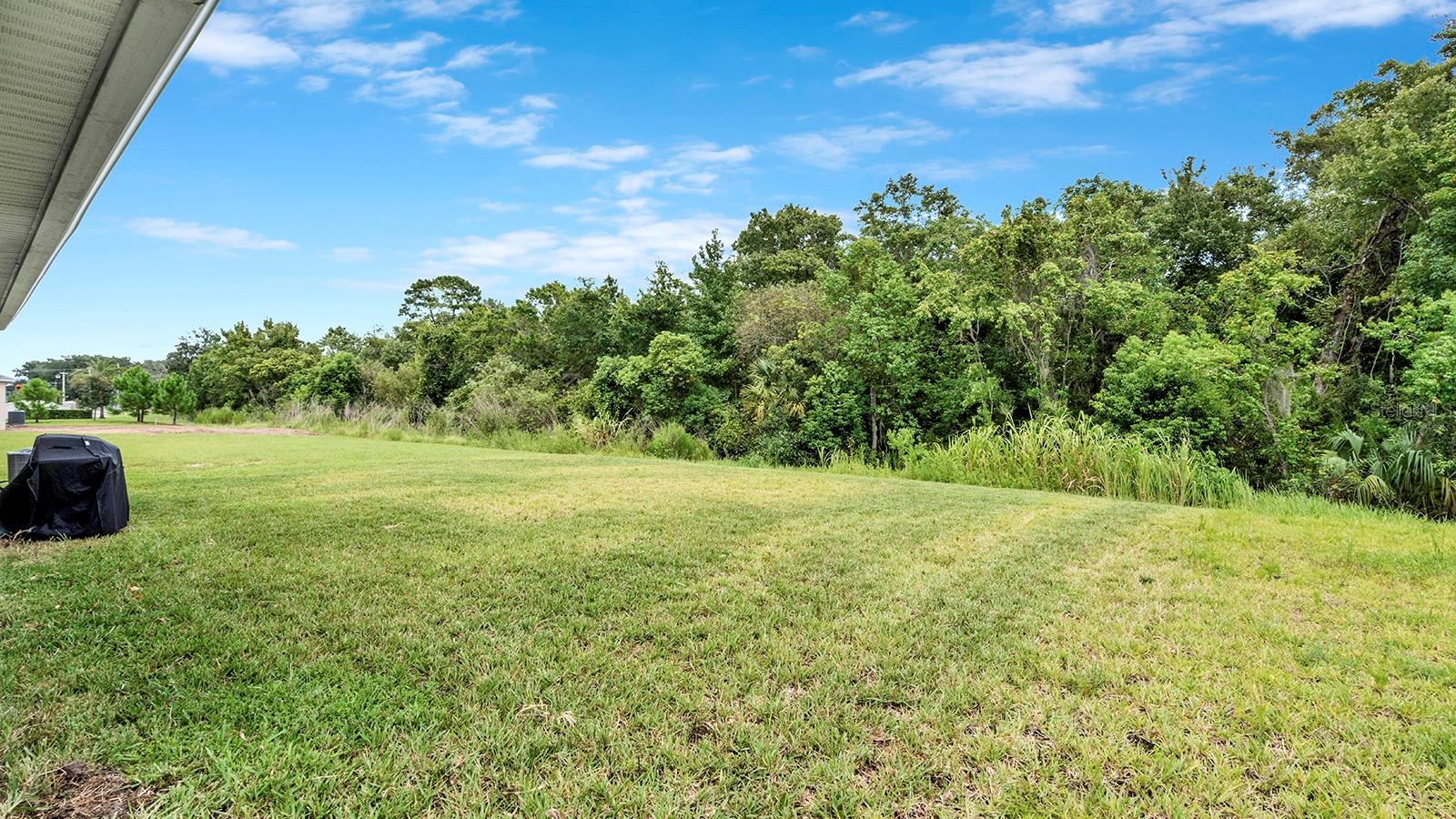 3629 Botanical Way Property Photo 25