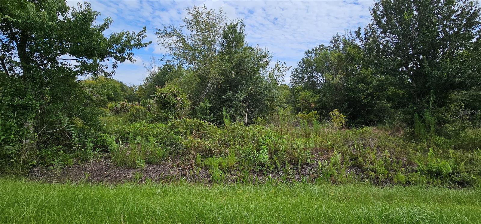 Nw 268th Street Lot N Property Photo 8