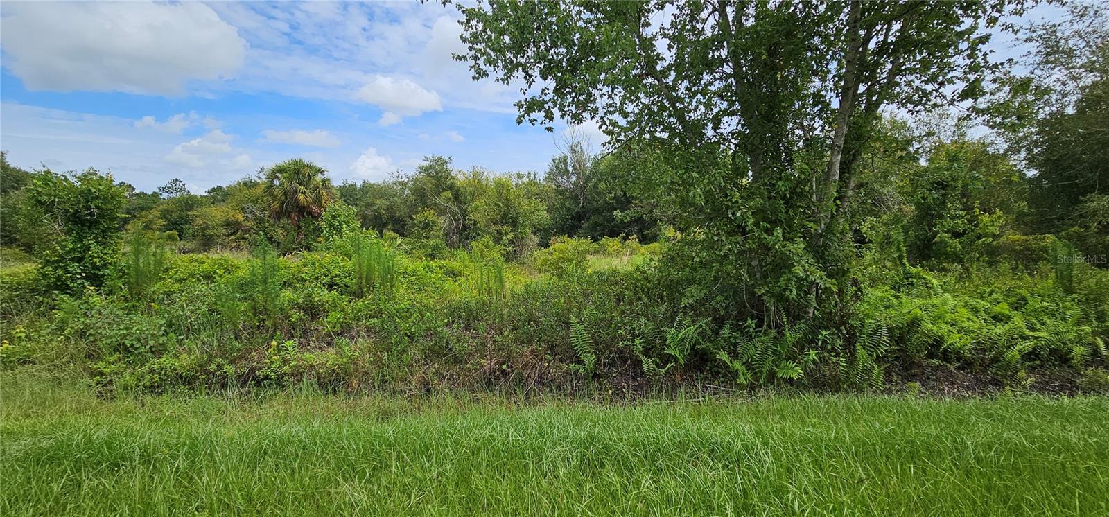 Nw 268th Street Lot N Property Photo 9