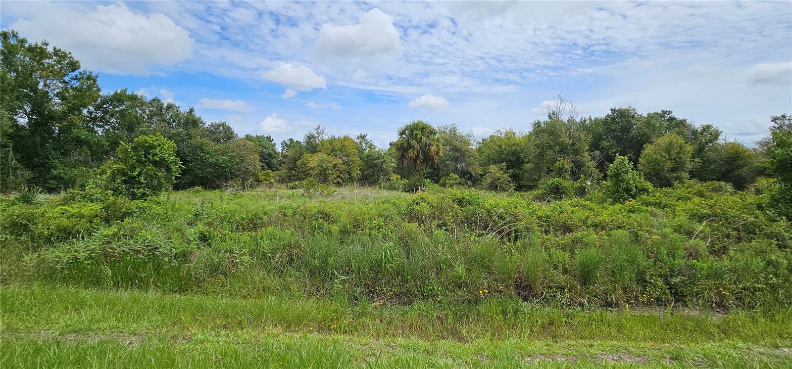 Nw 268th Street Lot N Property Photo 10