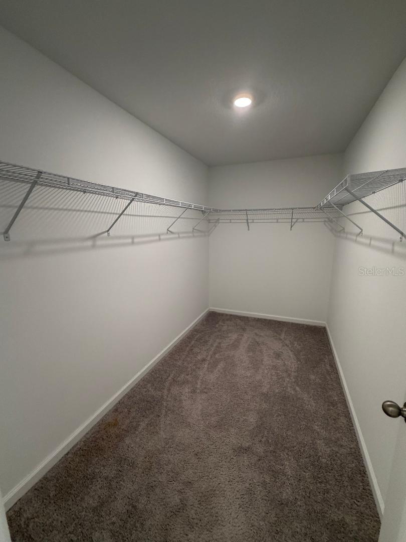 393 Grand Pine Ln Property Photo 10