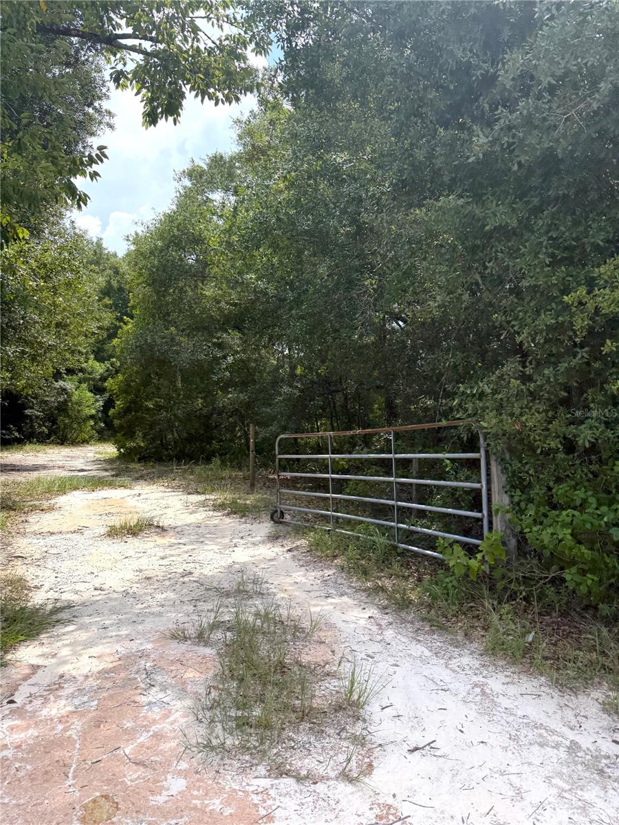 3255 Golden Gem Rd Property Photo 4