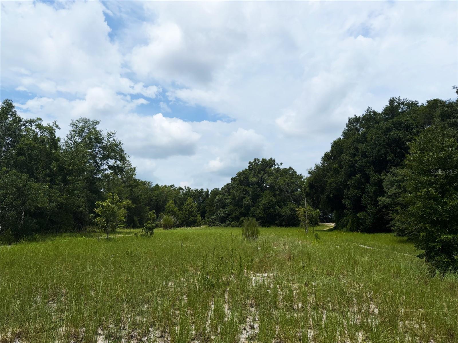 3255 Golden Gem Rd Property Photo 6