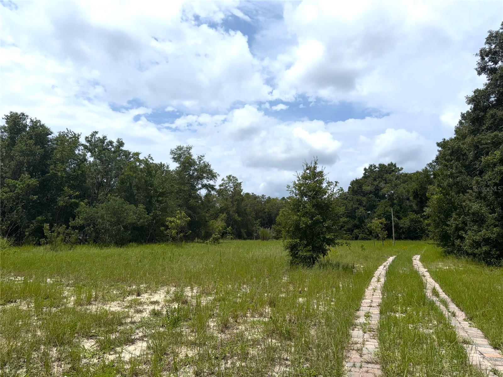 3255 Golden Gem Rd Property Photo 13