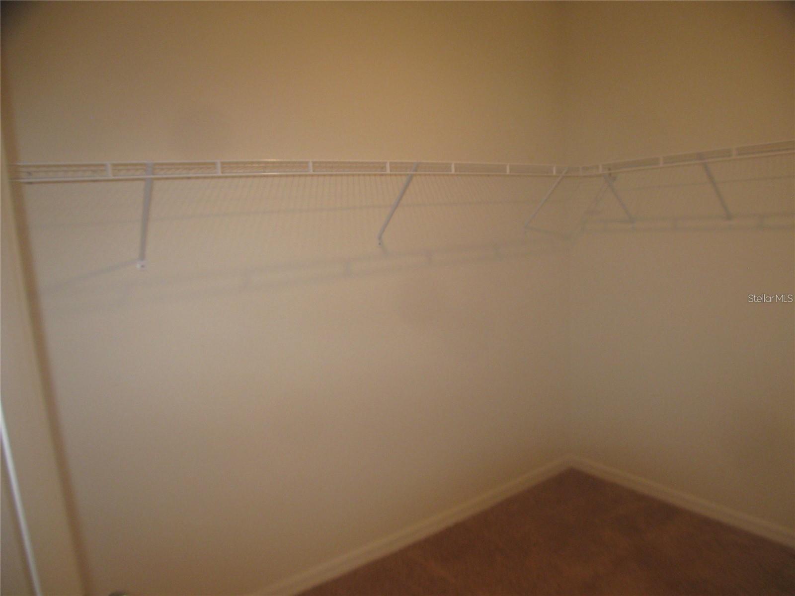 599 Autumn Stream Dr Property Photo 10