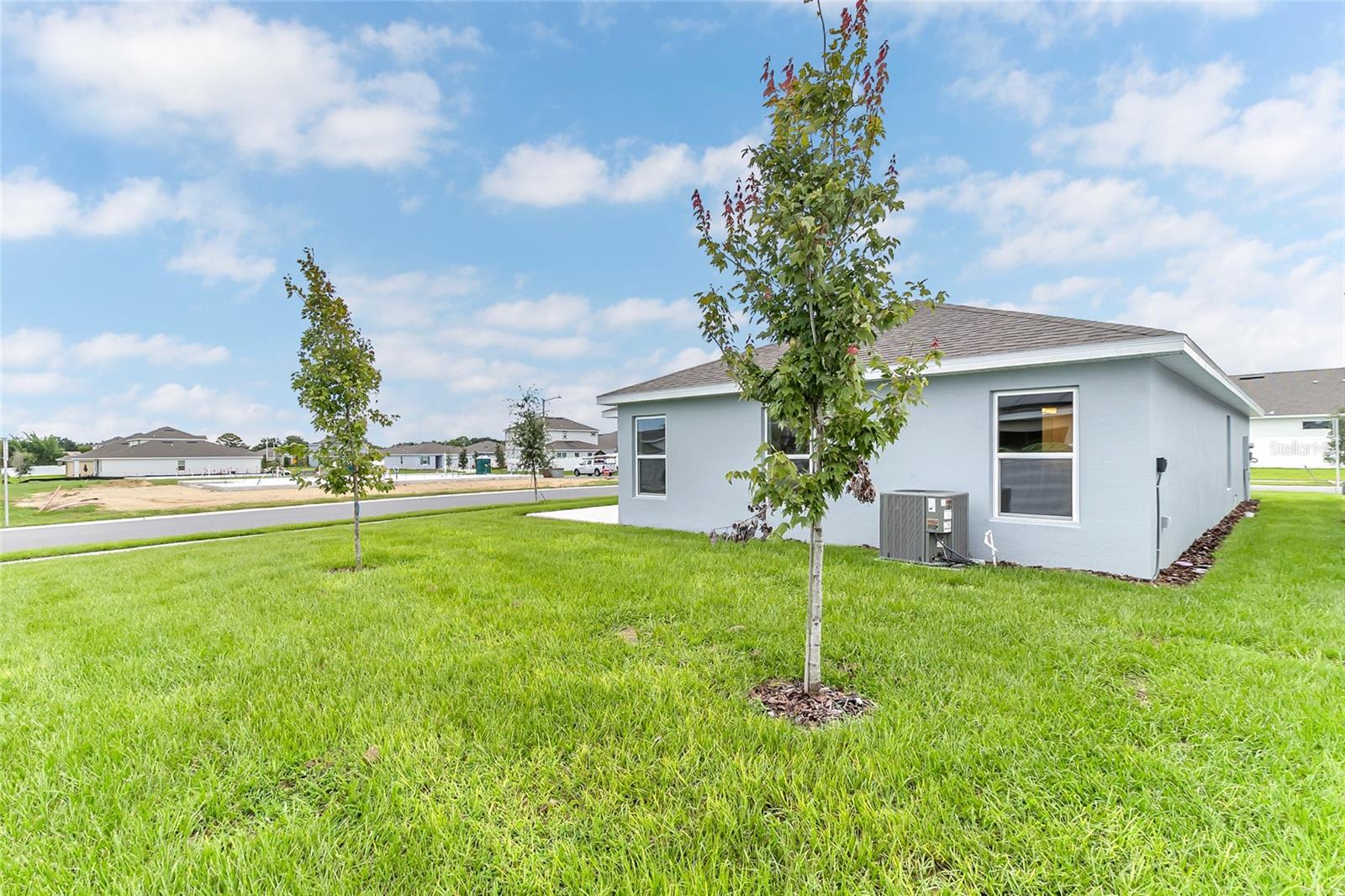 123 Bottle Brush Dr Property Photo 6