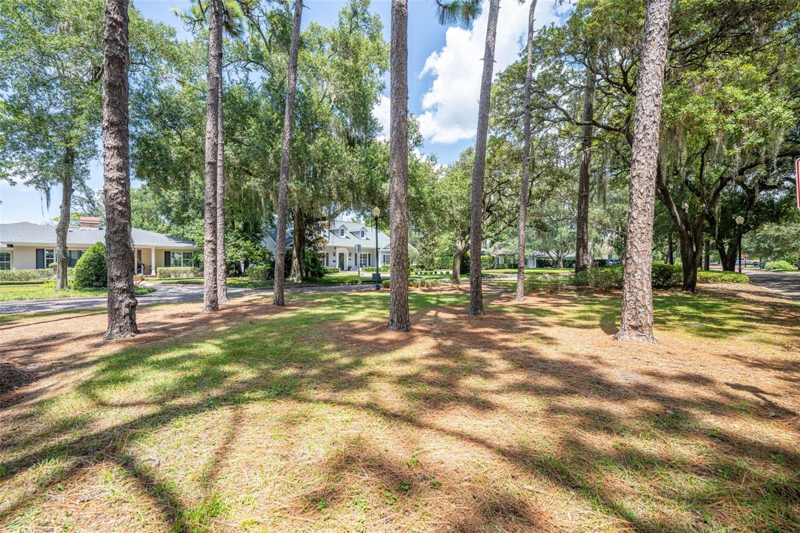 150 E Reading Way Property Photo 11