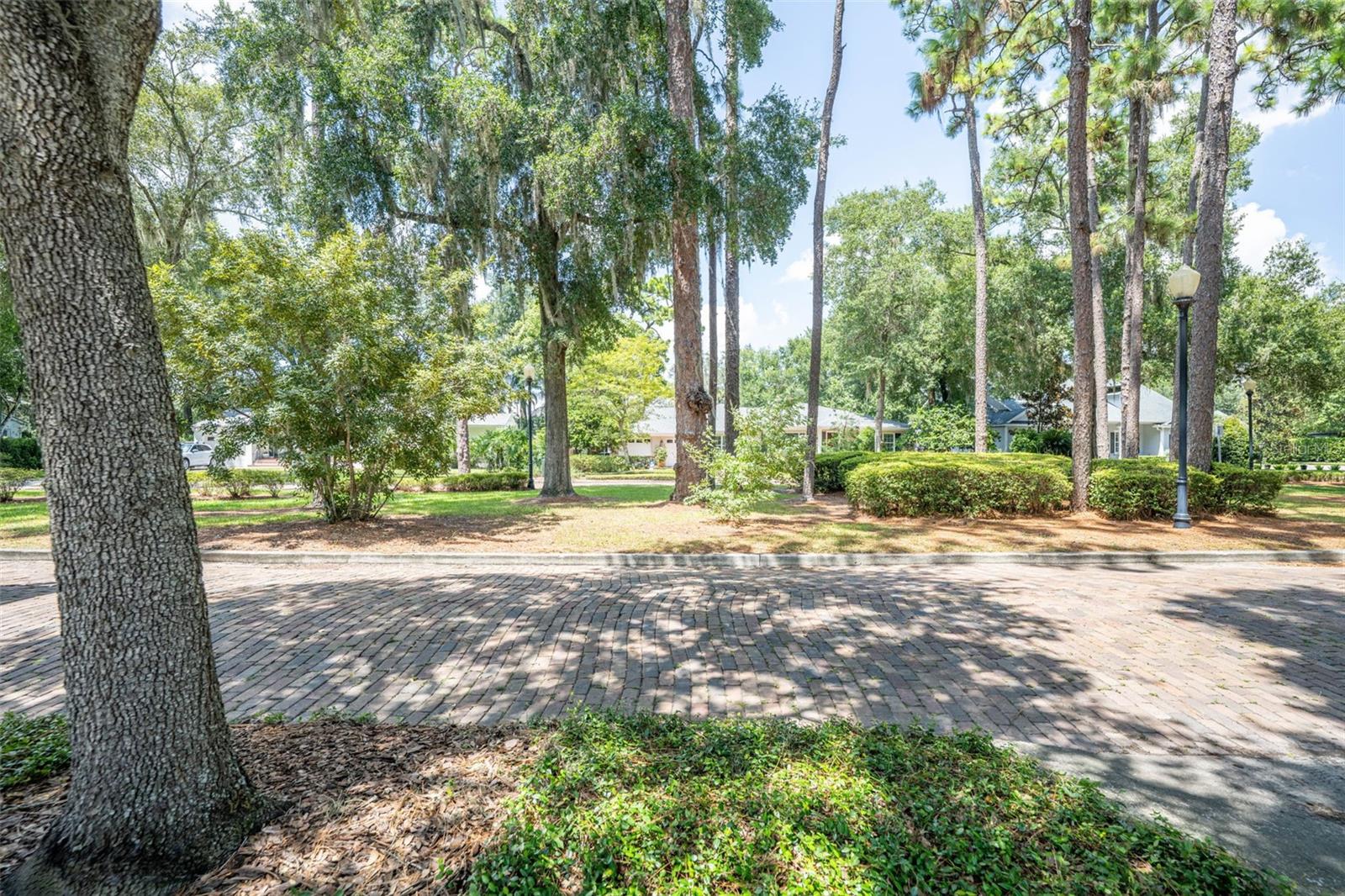 150 E Reading Way Property Photo 12