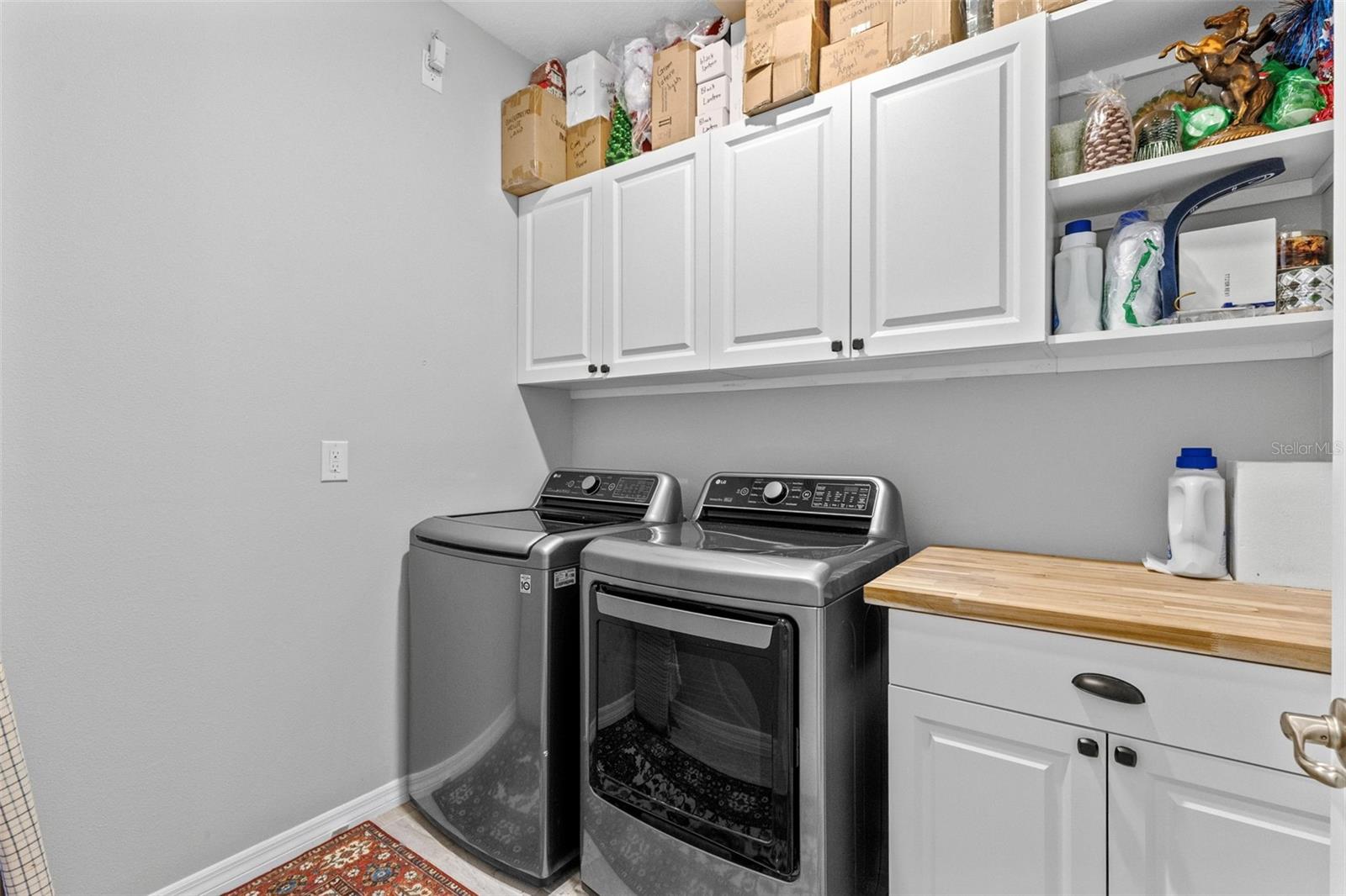17782 Blazing Star Cir Property Photo 22