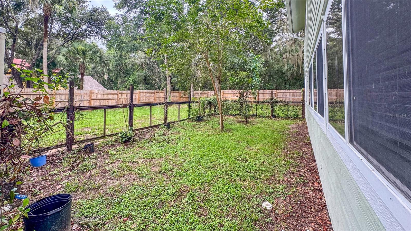 2261 Charlotte Dr Property Photo 49