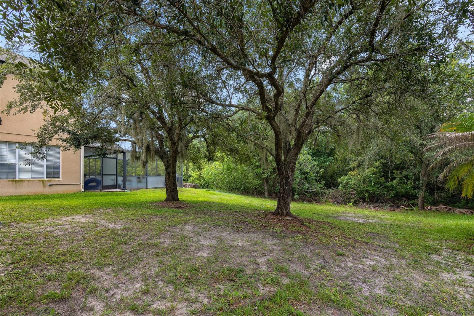 1720 Bear Bay Cv Property Photo 27