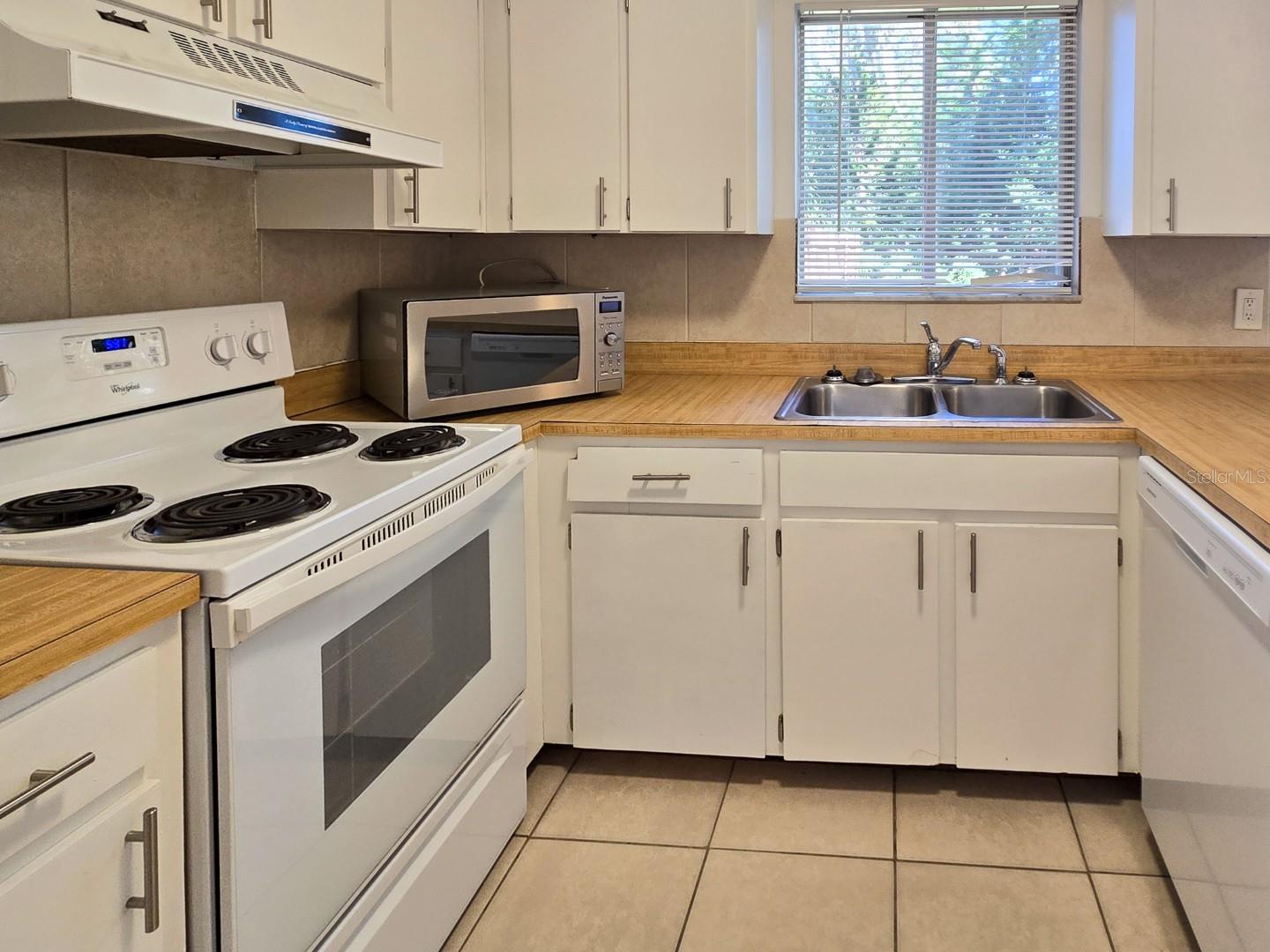 1537 Mango Tree Dr Property Photo 8