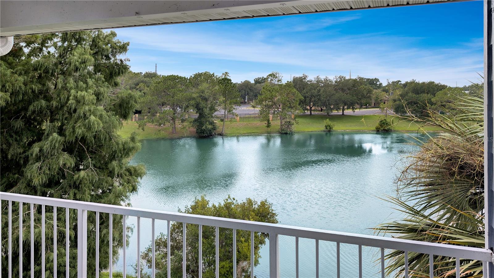 2516 Grassy Point Dr #306 Property Photo 5
