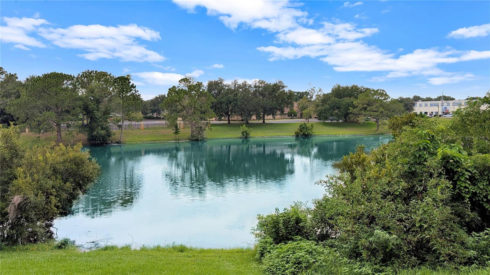 2516 Grassy Point Dr #306 Property Photo 15