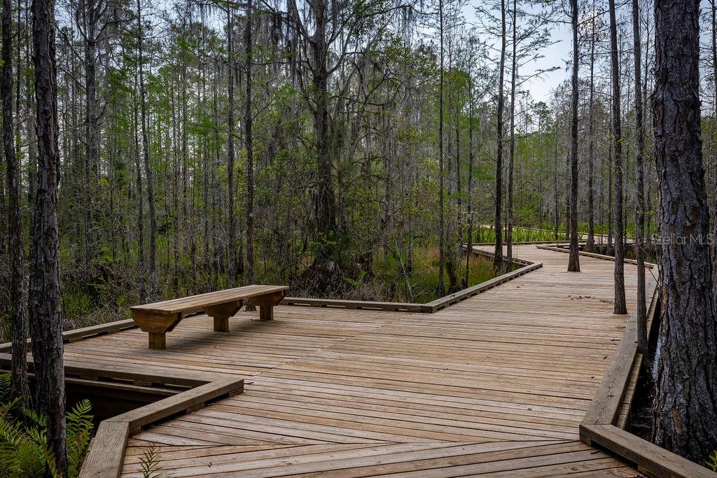 3090 Bonfire Path Property Photo 21