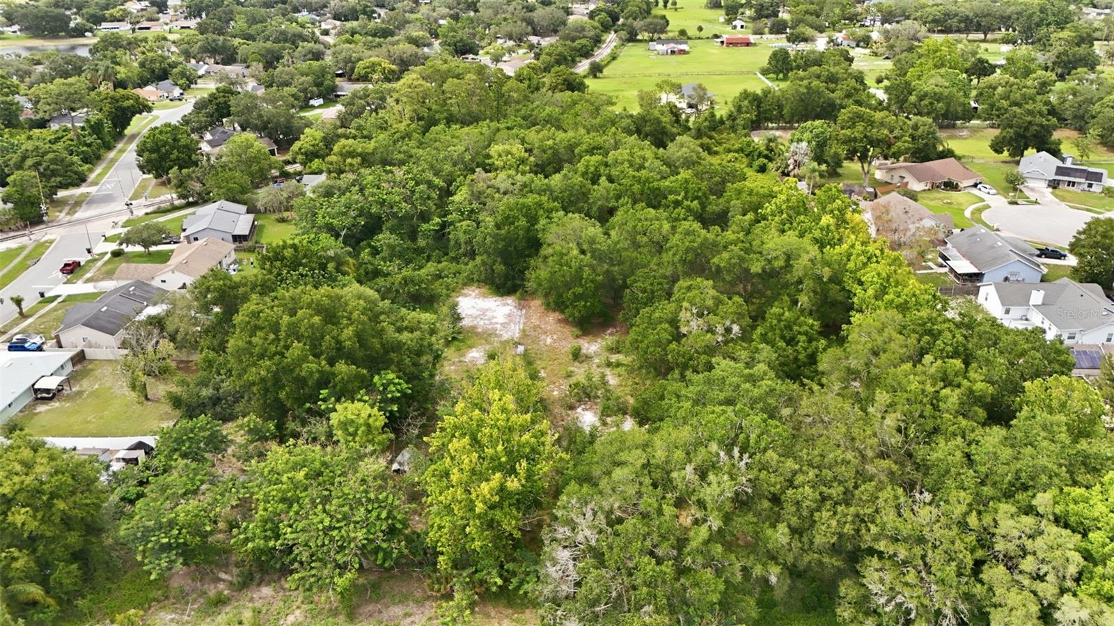 8667 A D Mims Rd Property Photo 6