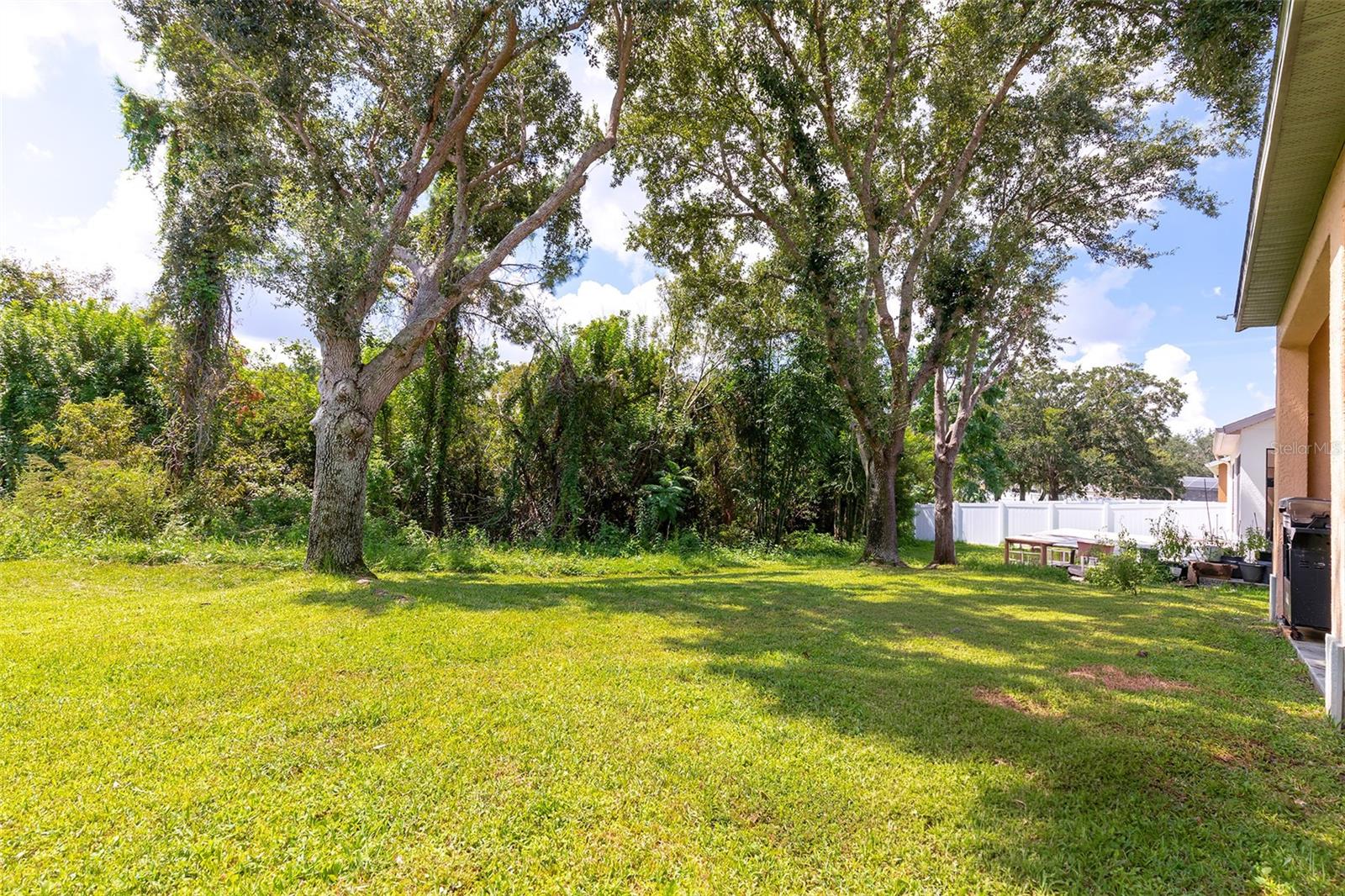 5421 Gemgold Ct Property Photo 29