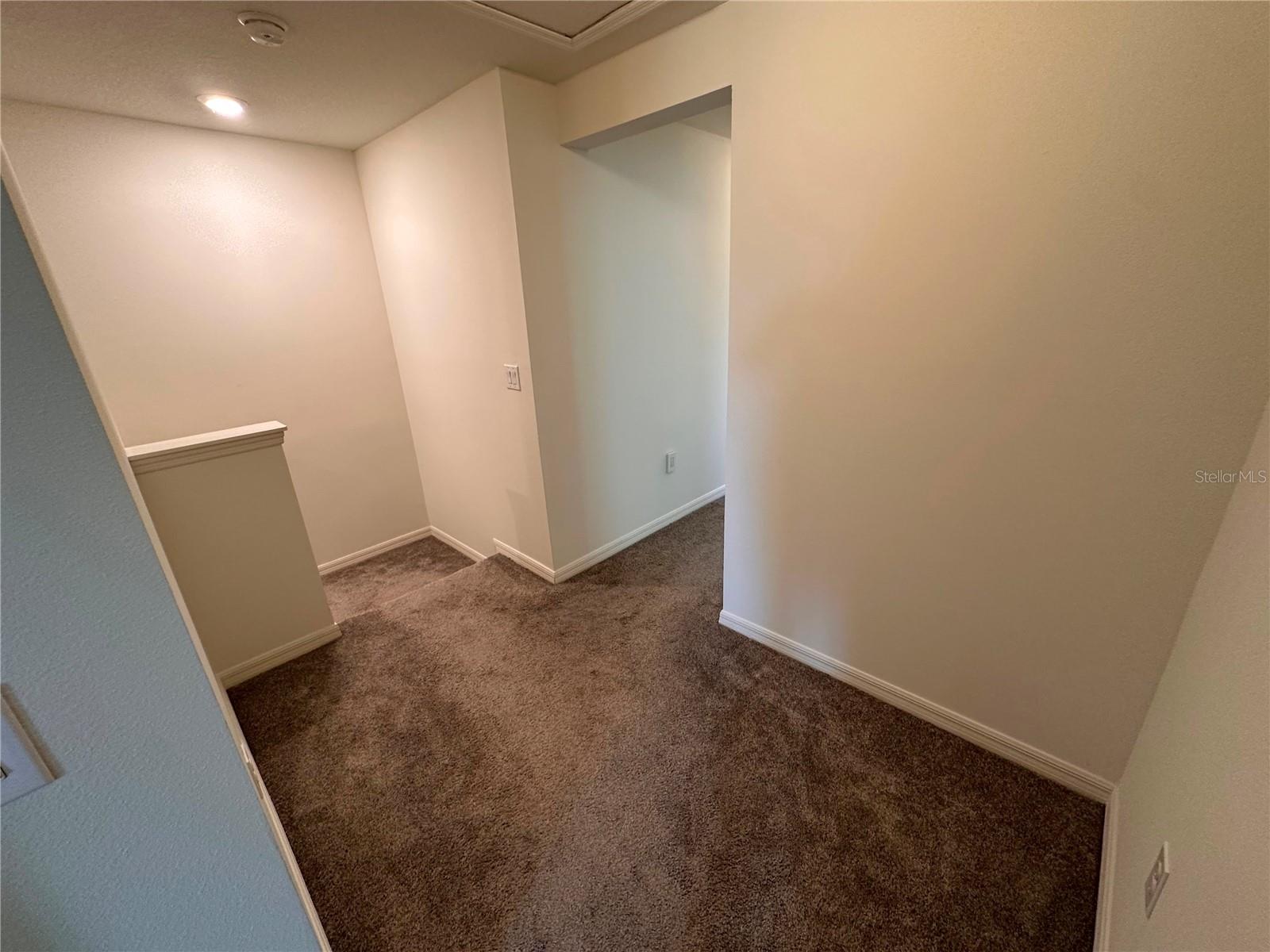5844 Soter Ln Property Photo 12