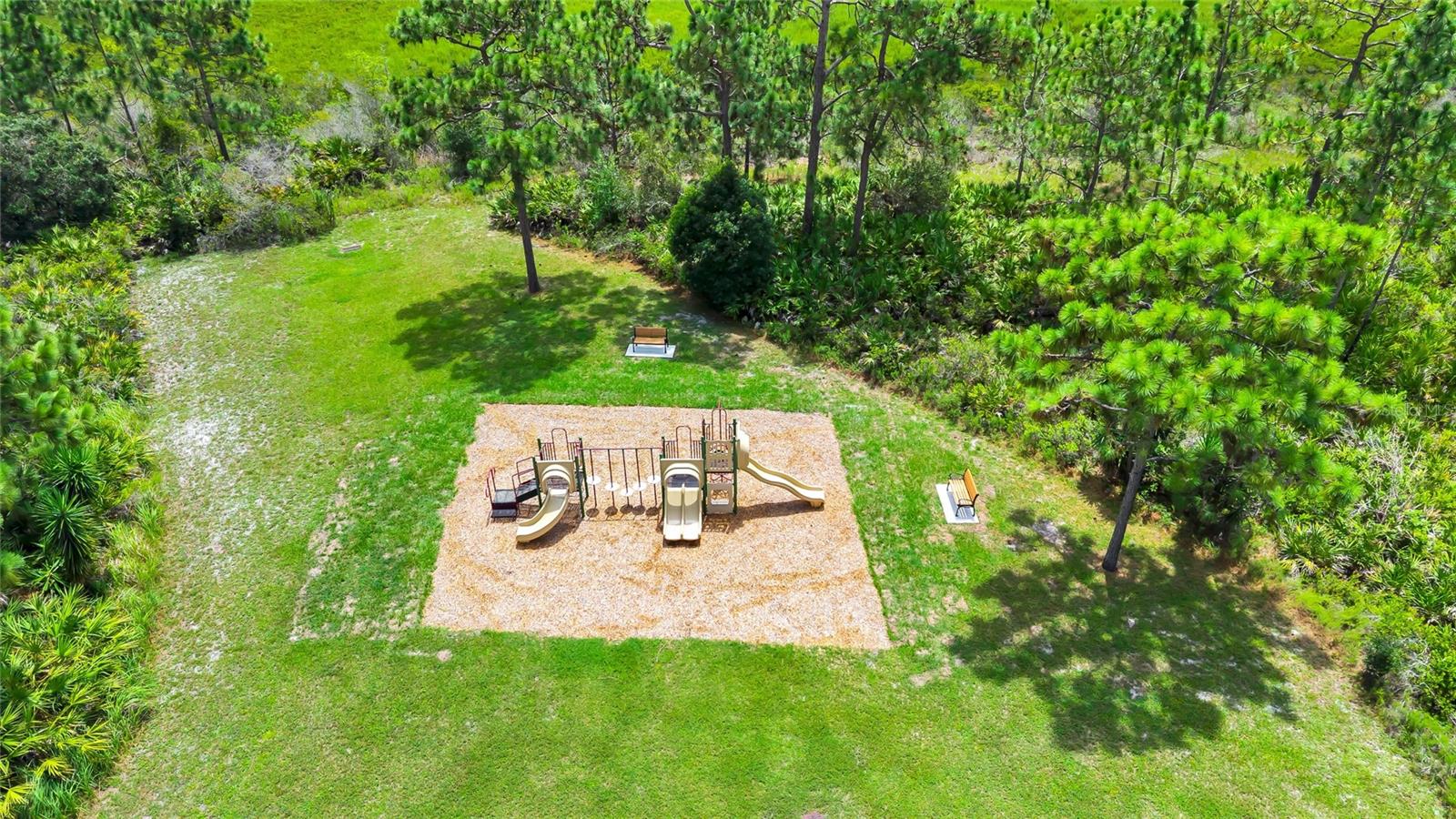 13812 Cepheus Dr Property Photo 38