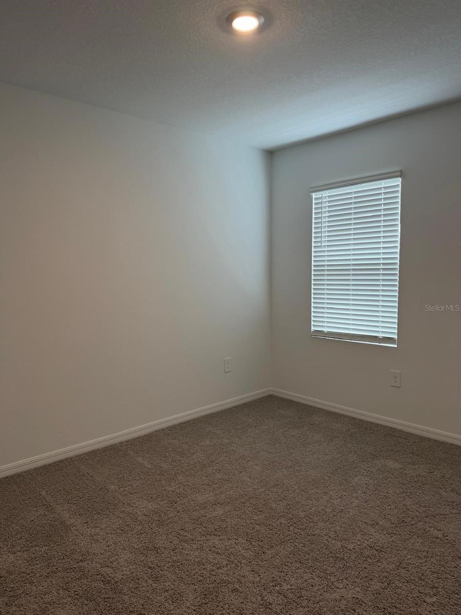 3910 Limeklin Falls Loop Property Photo 16