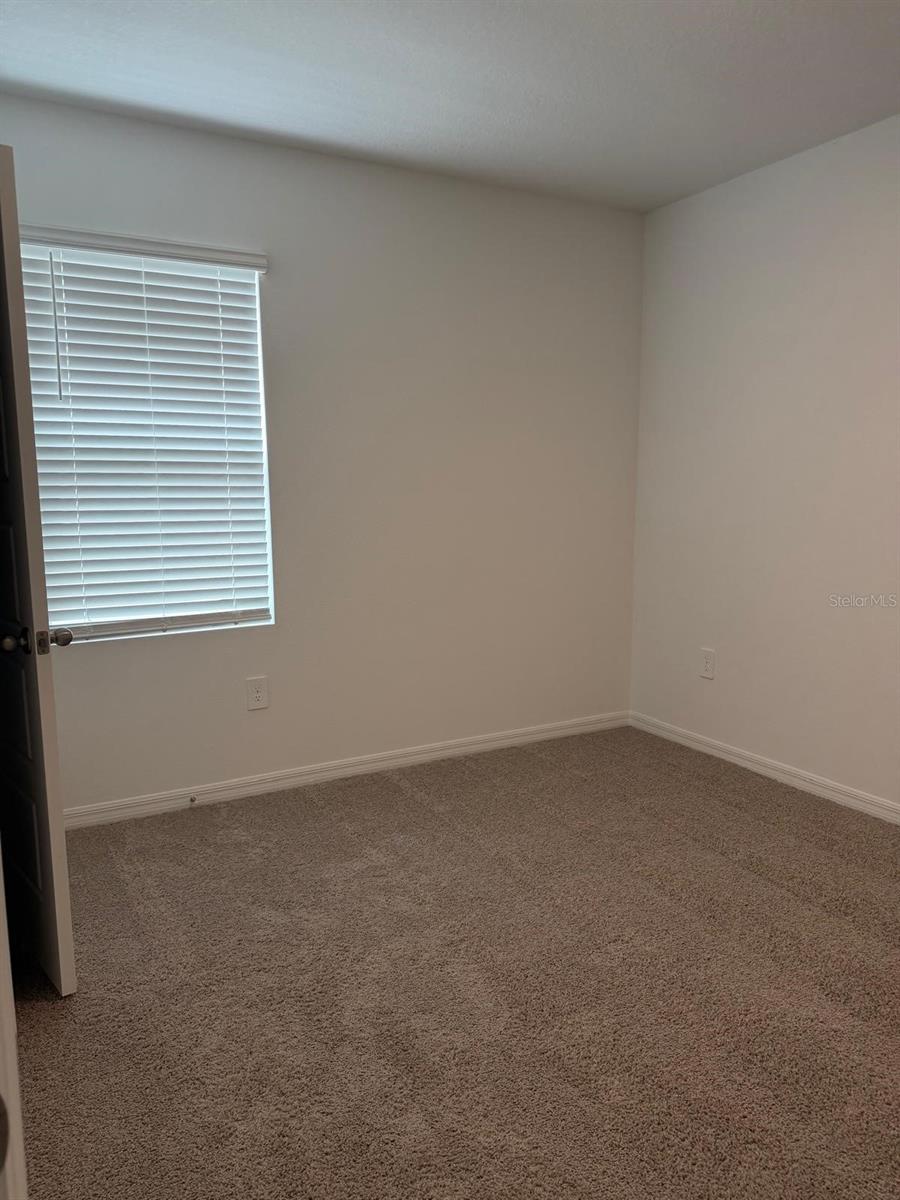 3910 Limeklin Falls Loop Property Photo 19