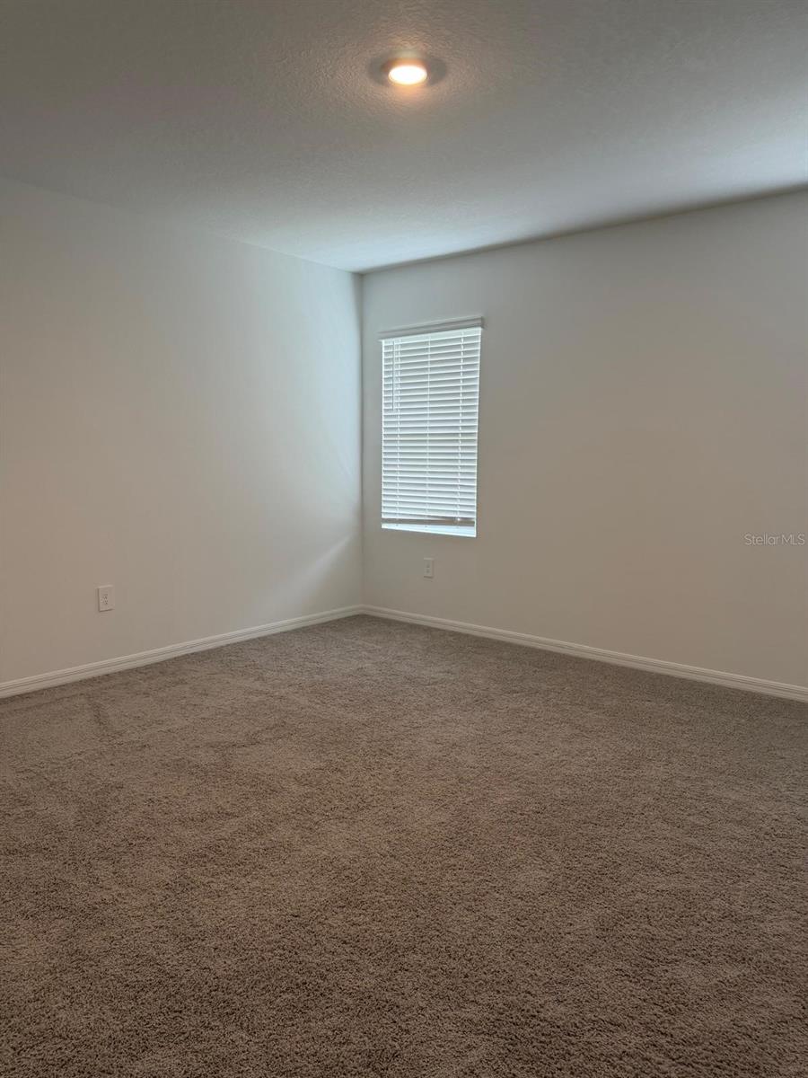 3910 Limeklin Falls Loop Property Photo 21