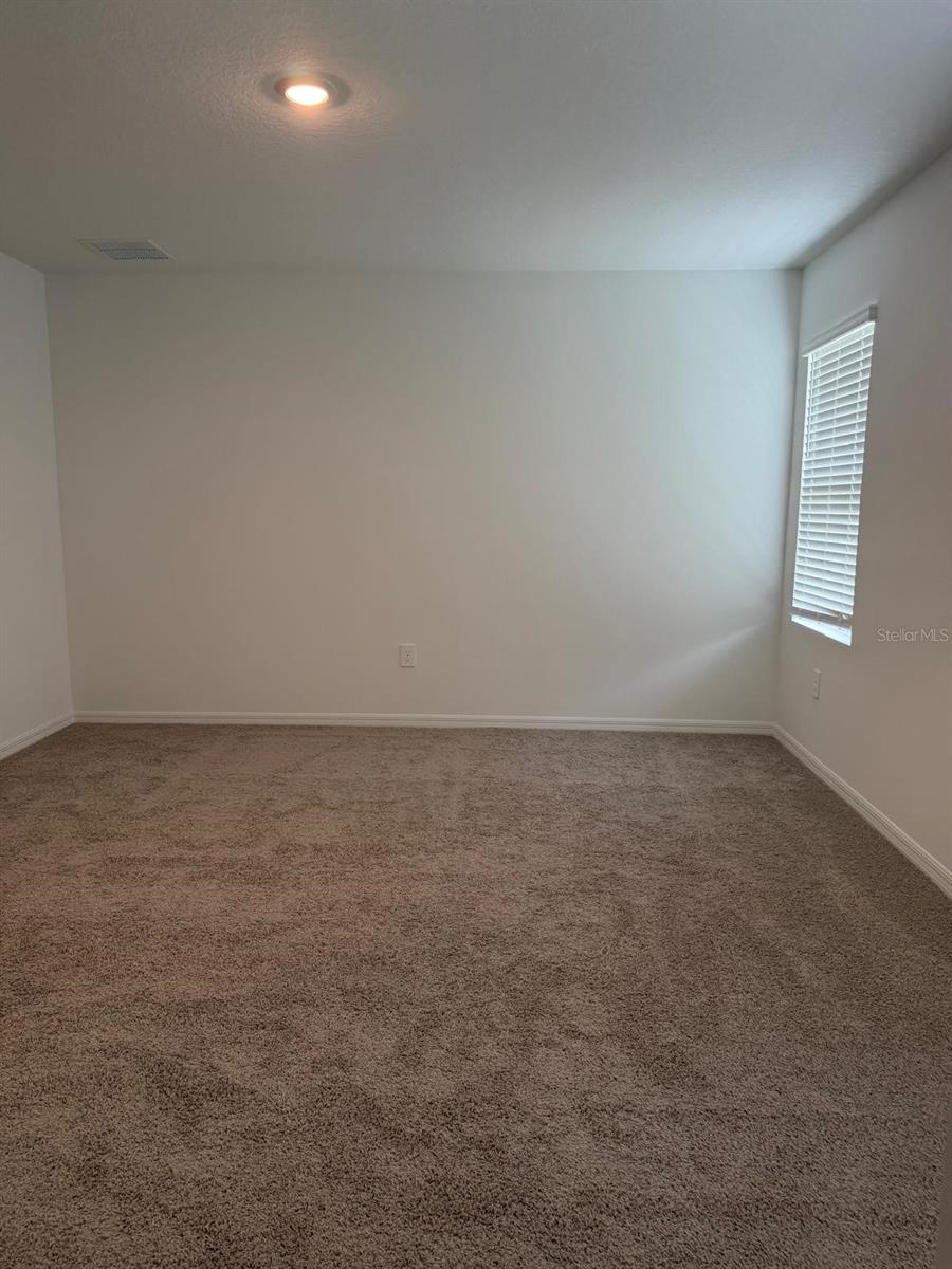 3910 Limeklin Falls Loop Property Photo 29