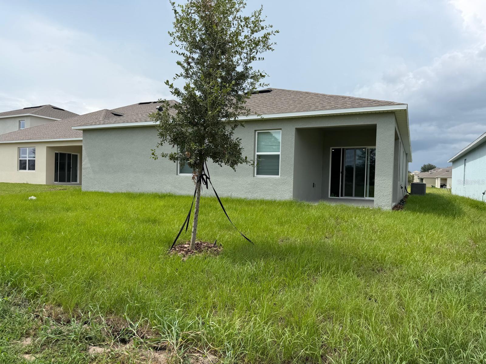 3910 Limeklin Falls Loop Property Photo 33