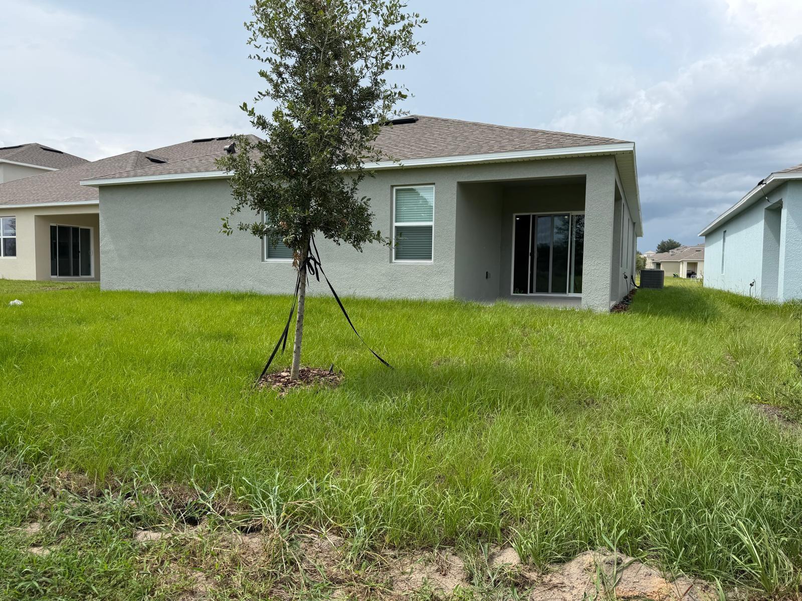 3910 Limeklin Falls Loop Property Photo 34
