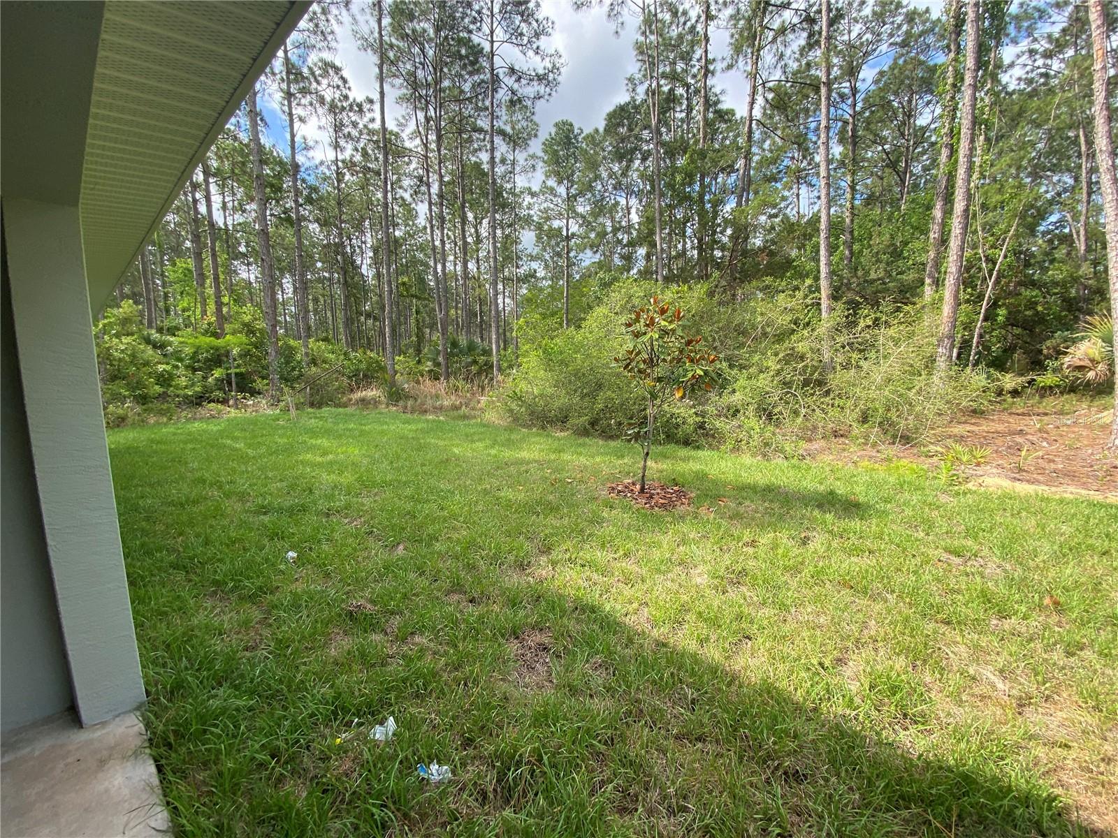2 Ryapple Ln #a Property Photo 11