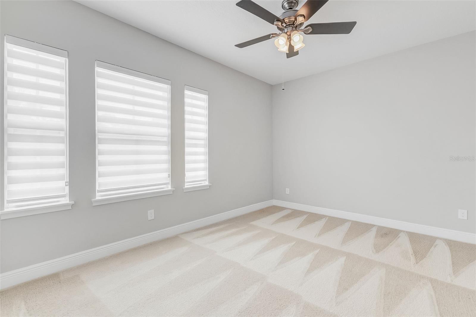 8521 Dubochet St Property Photo 29