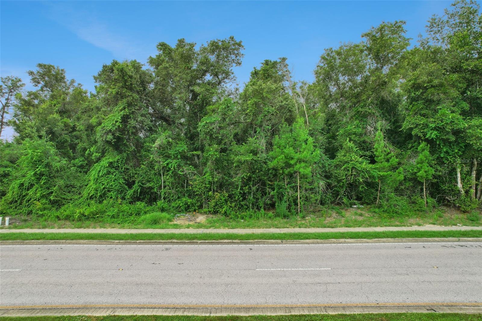 2841 Howland Blvd Property Photo 4