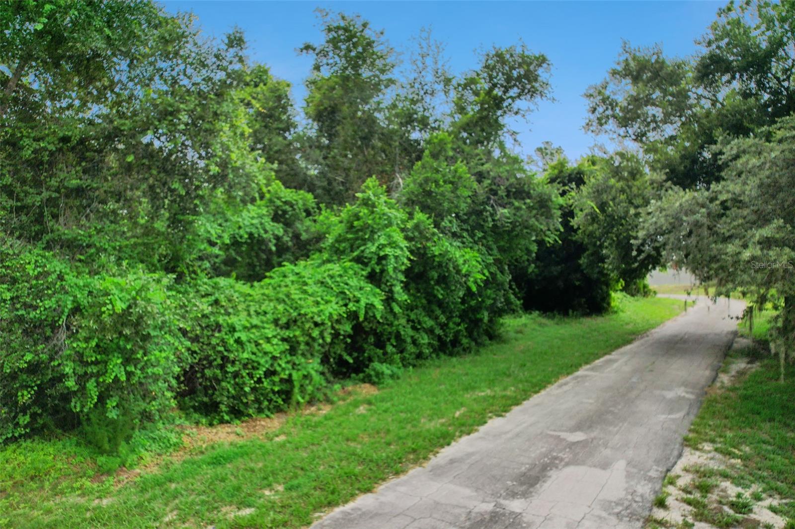 2841 Howland Blvd Property Photo 8