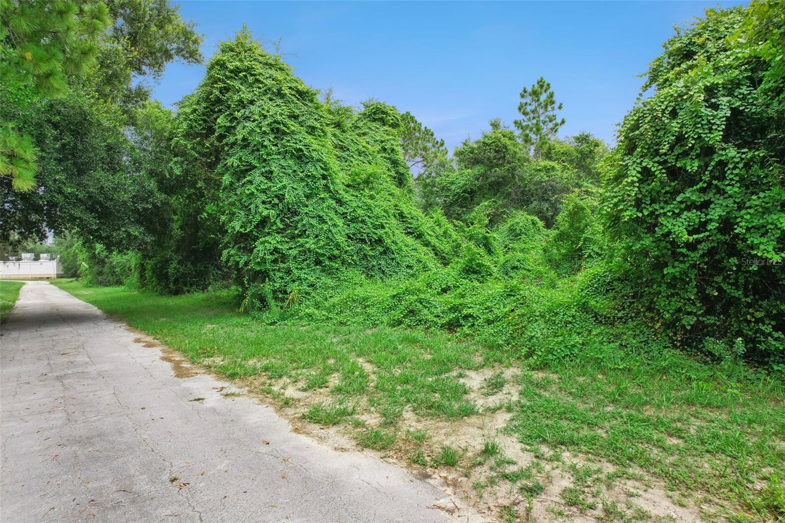 2841 Howland Blvd Property Photo 9