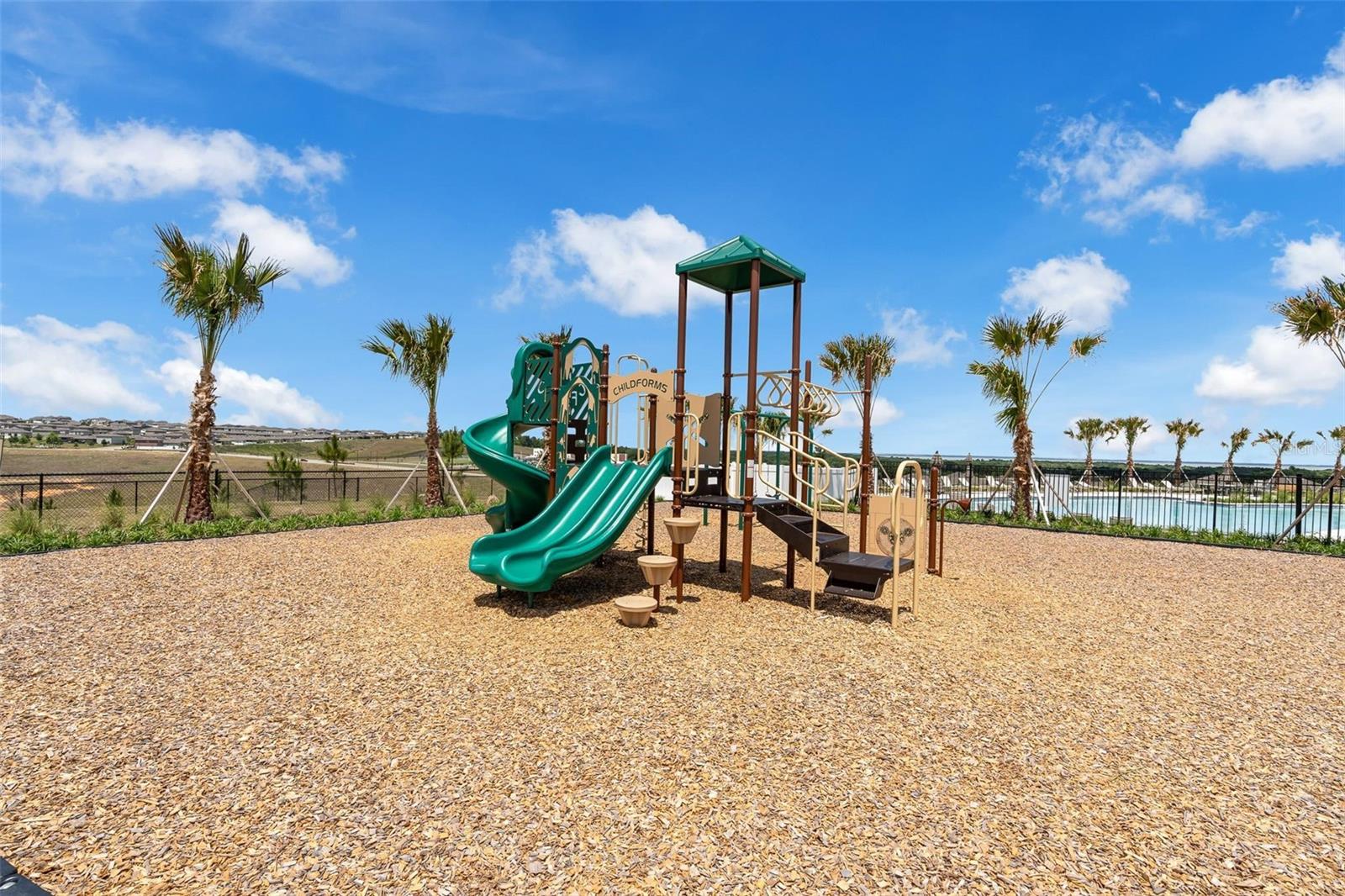 2019 Sunshine Peak Dr Property Photo 37