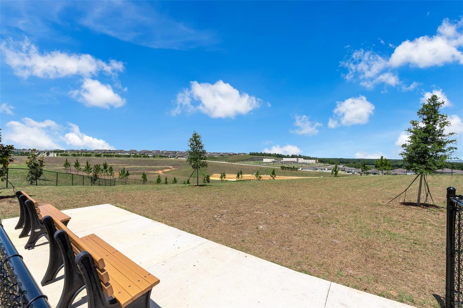 2019 Sunshine Peak Dr Property Photo 38