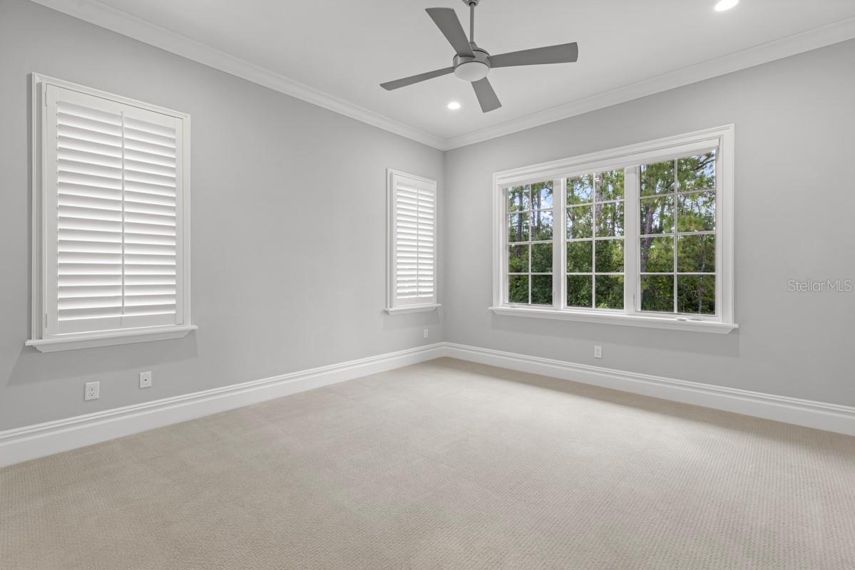 10271 Symphony Grove Dr Property Photo 50