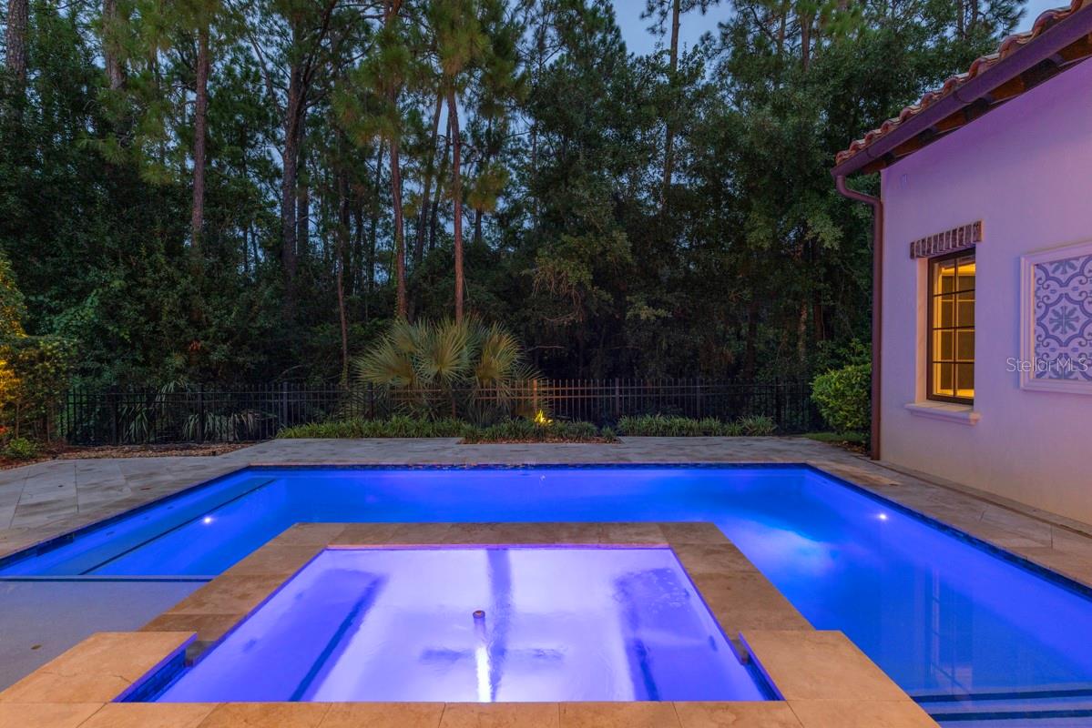 10271 Symphony Grove Dr Property Photo 75