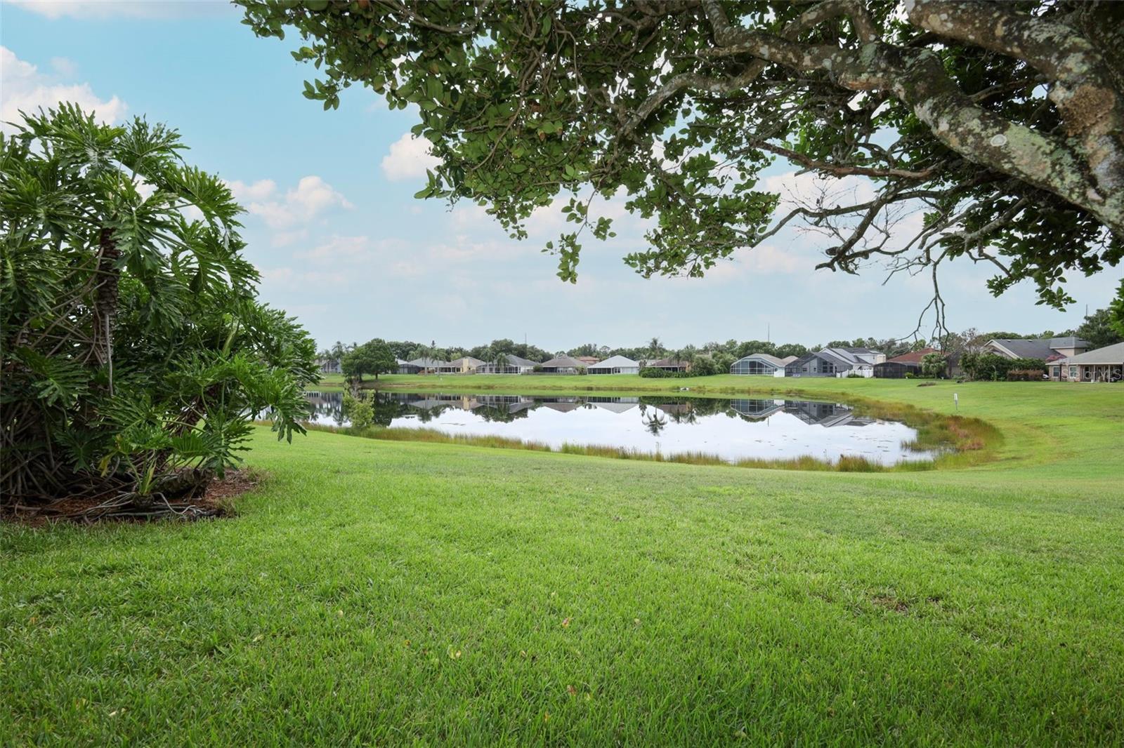 12879 Waterhaven Cir Property Photo 43