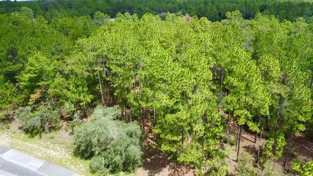 3861 W Firewood Loop Property Photo 2