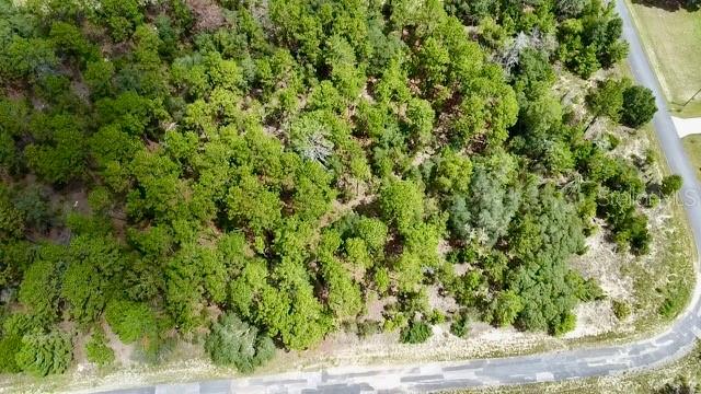 3861 W Firewood Loop Property Photo 4