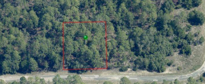 3861 W Firewood Loop Property Photo 5