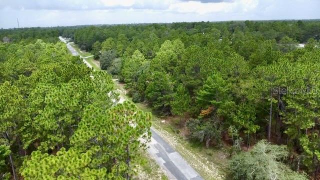 3861 W Firewood Loop Property Photo 6